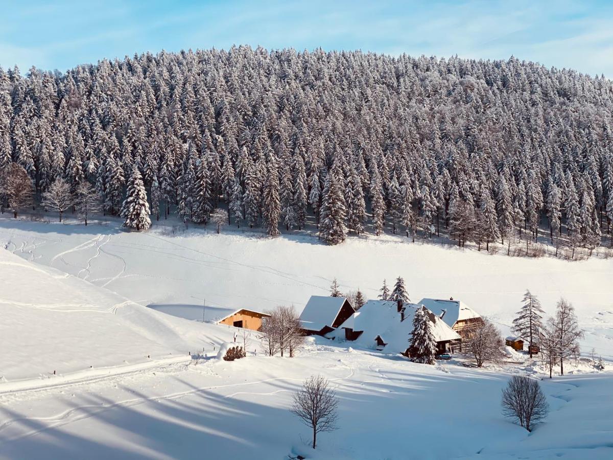 No 19 In The Black Forest St. Blasien Dış mekan fotoğraf